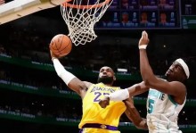 湖人收获2喜1忧！未来6战4场卡位战太关键，东詹想争冠需学黄蜂了