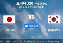 韩日世界杯日本队表现，日韩世界杯 韩国队？