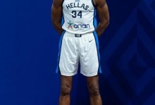 希腊国家足球队人员名单，希腊国家足球队人员名单表？