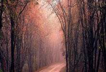 伊朗和伊拉克足球谁厉害，伊朗和伊拉克足球谁厉害一点