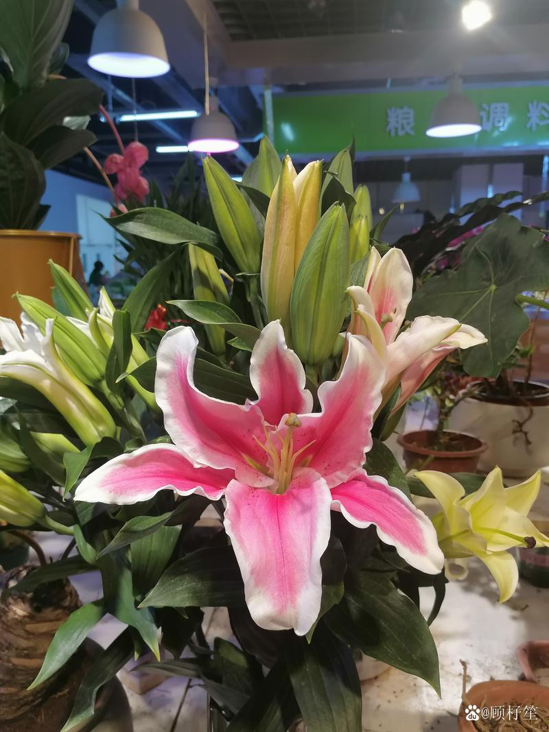 字母交易仍有悬念 湖勇心照不宣为2027做薪资准备