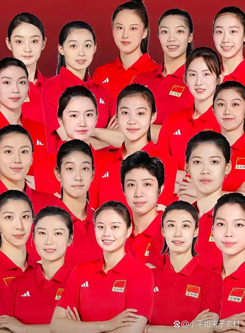 北京女子排球队员名单，北京排球美女