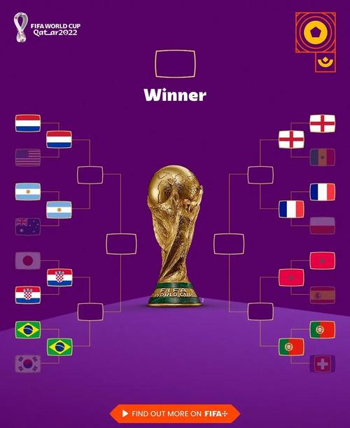 10年世界杯八强名单，2010世界杯八强对阵