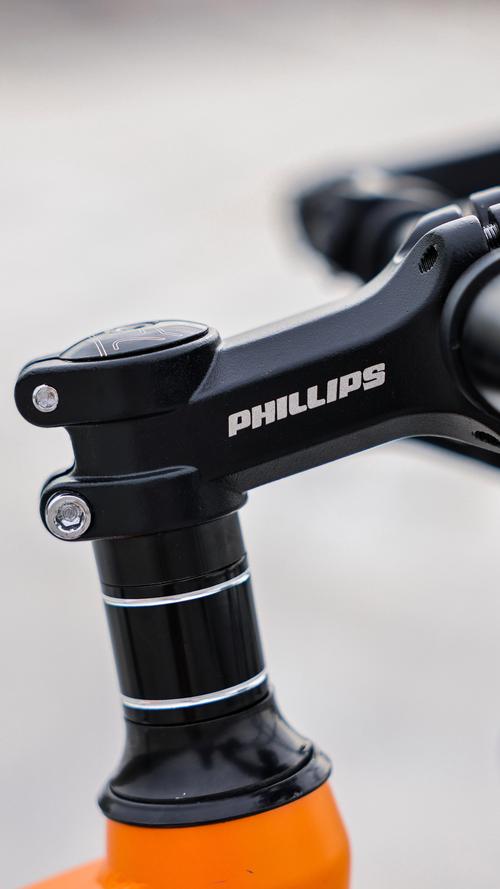 菲利普自行车是几线品牌，菲利普自行车哪里生产的