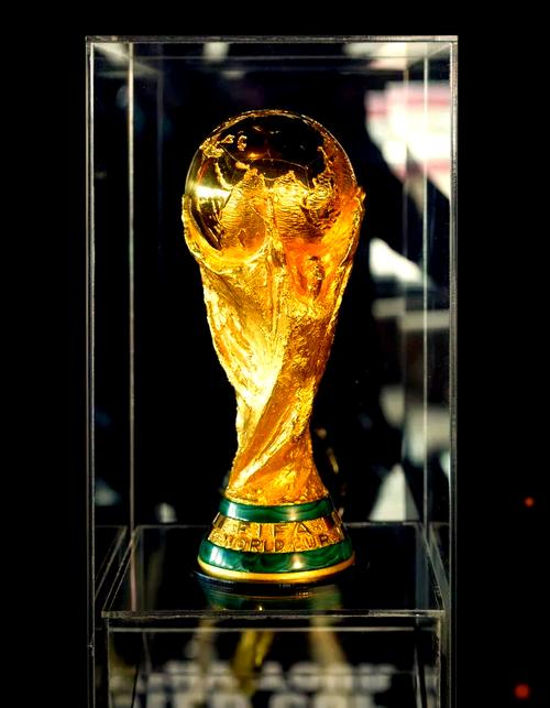 世界杯球队特殊奖励是什么，世界杯有什么奖励？