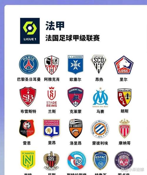 欧洲足球五大联赛排名和欧冠，欧洲足球五大联赛最全资料库？